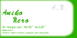 aniko mero business card